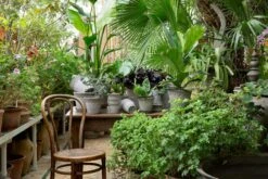 Bergs Potter Copenhagen Pot Grey, 18 Cm -Bergs Potter Verkaufe bergs potter copenhagen pot grey 11 2