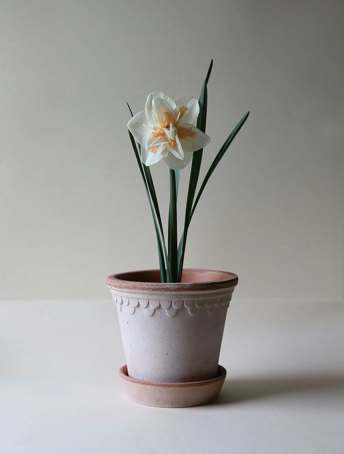 Bergs Potter Copenhagen Pot Pink, 16 Cm 5 Bergs Potter Copenhagen Pot Pink, 16 Cm – Bild 3