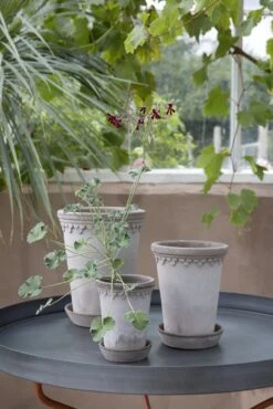 Bergs Potter Copenhagen Topf Grau, 12 Cm -Bergs Potter Verkaufe bergs potter copenhagen topf grau 5 3