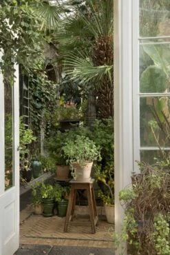 Bergs Potter Copenhagen Topf Rosa, 12 Cm -Bergs Potter Verkaufe bergs potter copenhagen topf rosa 3