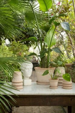 Bergs Potter Copenhagen Topf Rosa, 12 Cm -Bergs Potter Verkaufe bergs potter copenhagen topf rosa 5