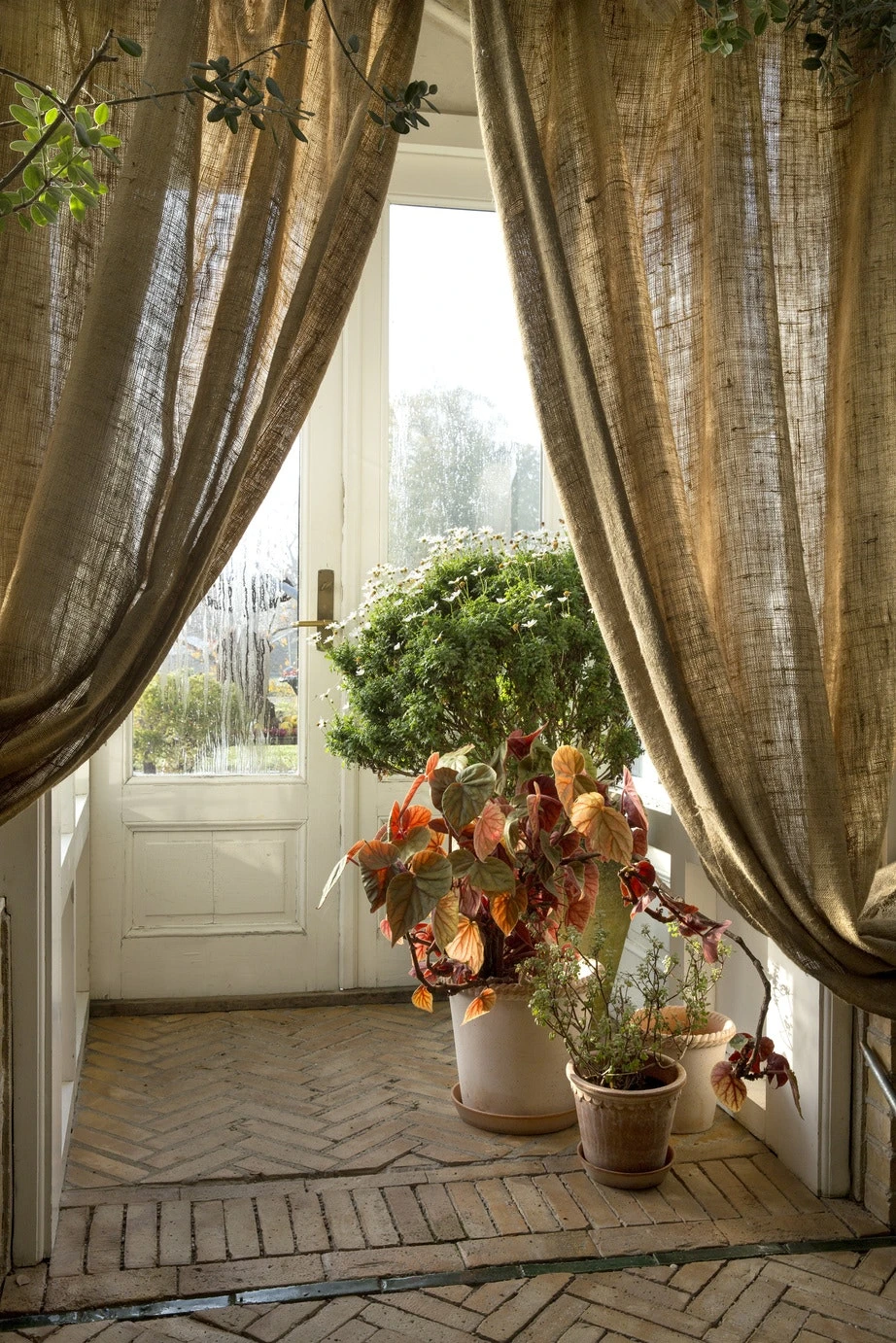 Bergs Potter Emilia Topf Rosa Ø16 Cm 6 Bergs Potter Emilia Topf Rosa Ø16 Cm – Bild 4