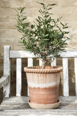 Bergs Potter Emilia Pot Rose Topf Rosa, 18 Cm -Bergs Potter Verkaufe bergs potter emilia topf rosa 3 2