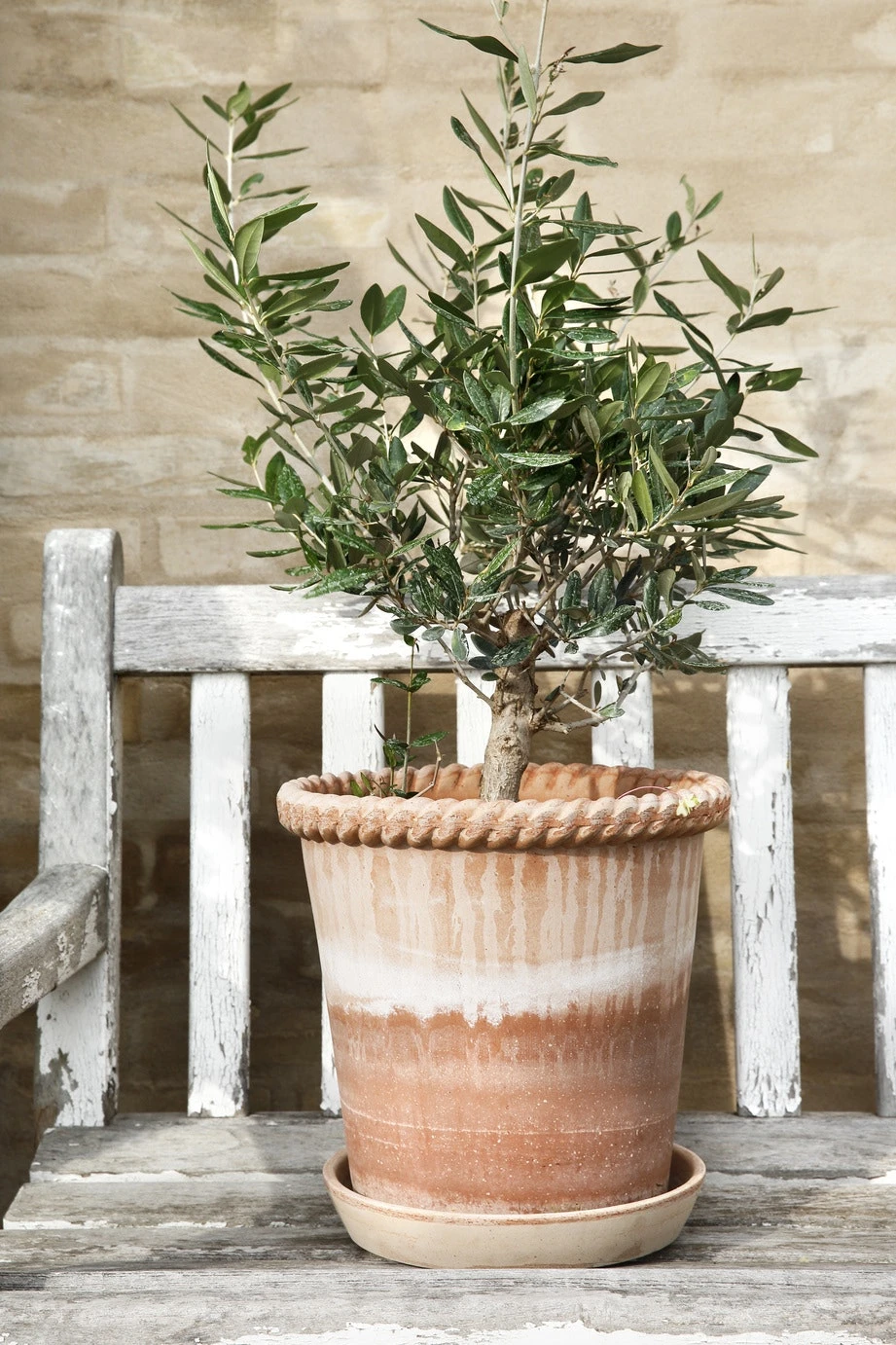 Bergs Potter Emilia Topf Rosa Ø16 Cm 7 Bergs Potter Emilia Topf Rosa Ø16 Cm – Bild 5