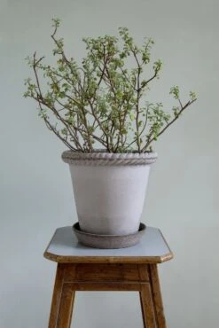 Bergs Potter Emilia Topf Grau, 18 Cm -Bergs Potter Verkaufe bergs potter topf emilia grau 1 2