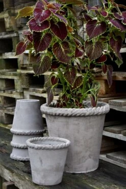 Bergs Potter Emilia Topf Grau, 21 Cm -Bergs Potter Verkaufe bergs potter topf emilia grau 3 5