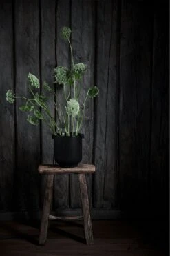 Ernst Blumentopf Mit Ohren H18 Cm, Schwarz -Bergs Potter Verkaufe ernst blumentopf mit ohren schwarz 1 2