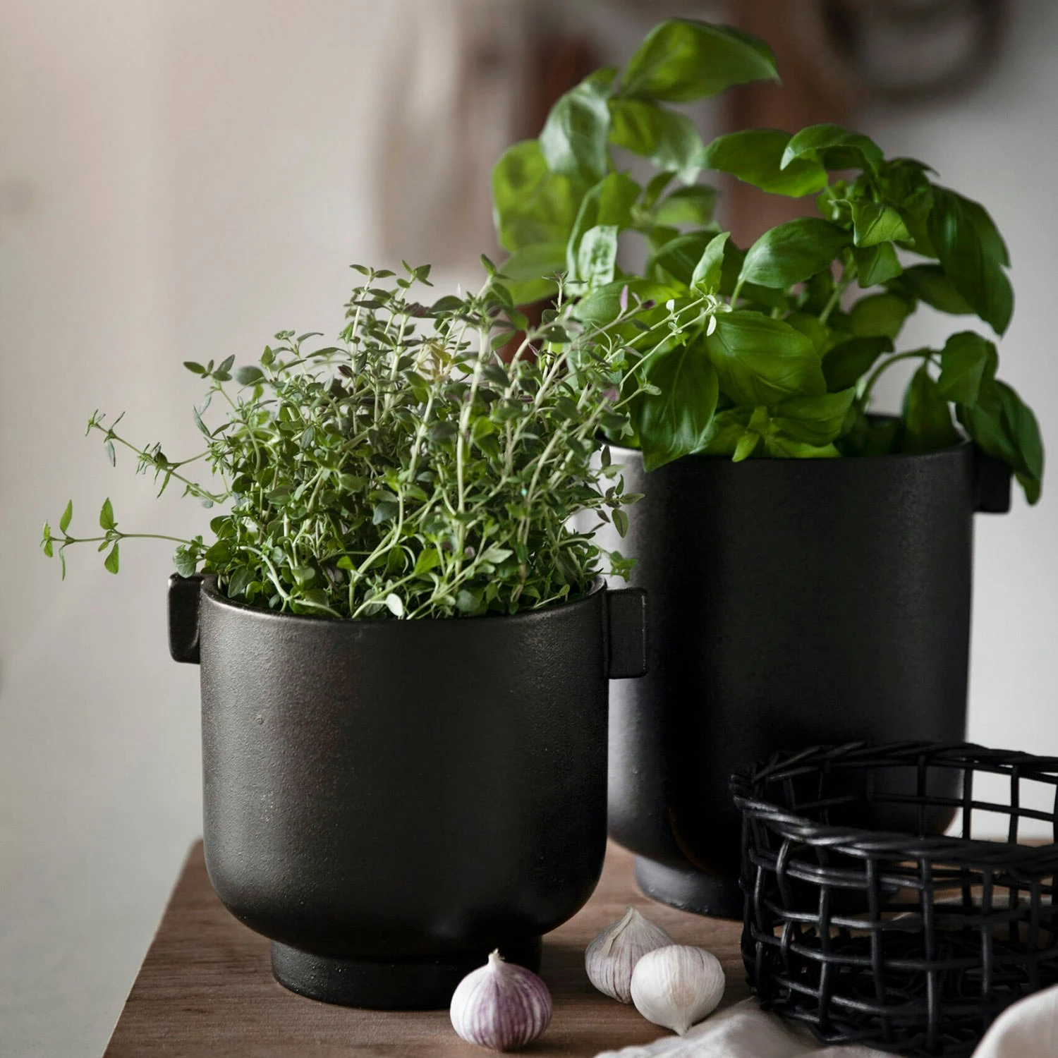 Ernst Blumentopf Mit Ohren H14 Cm, Schwarz 4 Ernst Blumentopf Mit Ohren H14 Cm, Schwarz – Bild 2