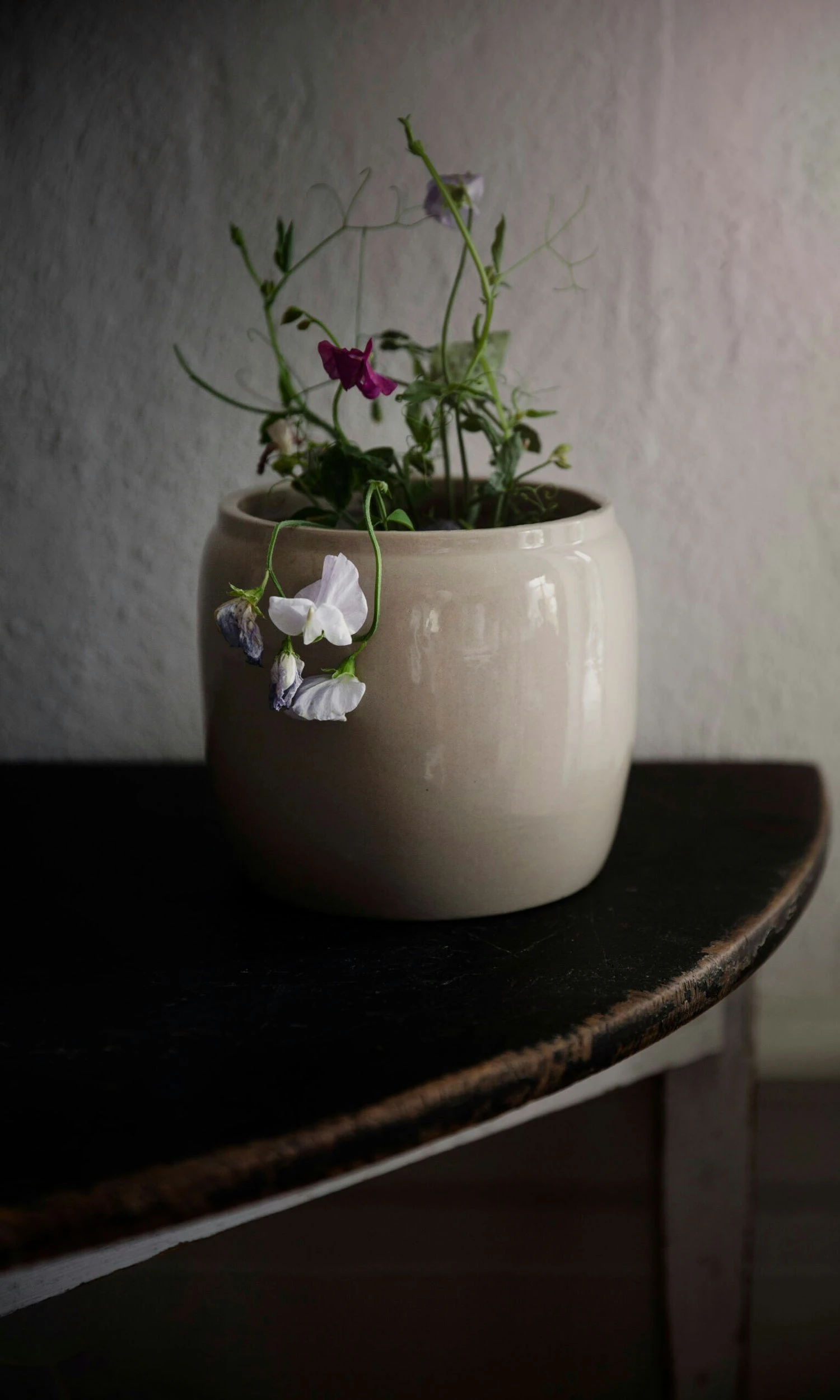 Ernst Topf Glasiert Steingut Ø14 Cm, Beige 4 Ernst Topf Glasiert Steingut Ø14 Cm, Beige – Bild 2