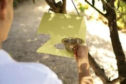 Picoti Vogelfutterhäuschen, Clay Grey -Bergs Potter Verkaufe fermob picoti bird feeder clay grey 3