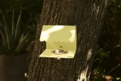 Picoti Vogelfutterhäuschen, Clay Grey -Bergs Potter Verkaufe fermob picoti bird feeder clay grey 4