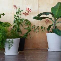 Hay Flowerpot Topf Mit Unterteller Grau, Ø26 Cm XXL -Bergs Potter Verkaufe hay blumentopf mit untersetzer grau 1 2