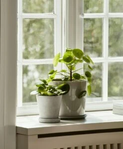 Hay Flowerpot Topf Mit Unterteller Grau, Ø14 Cm M 13 Hay Flowerpot Topf Mit Unterteller Grau, Ø14 Cm M -Bergs Potter Verkaufe hay blumentopf mit untersetzer grau 10 1