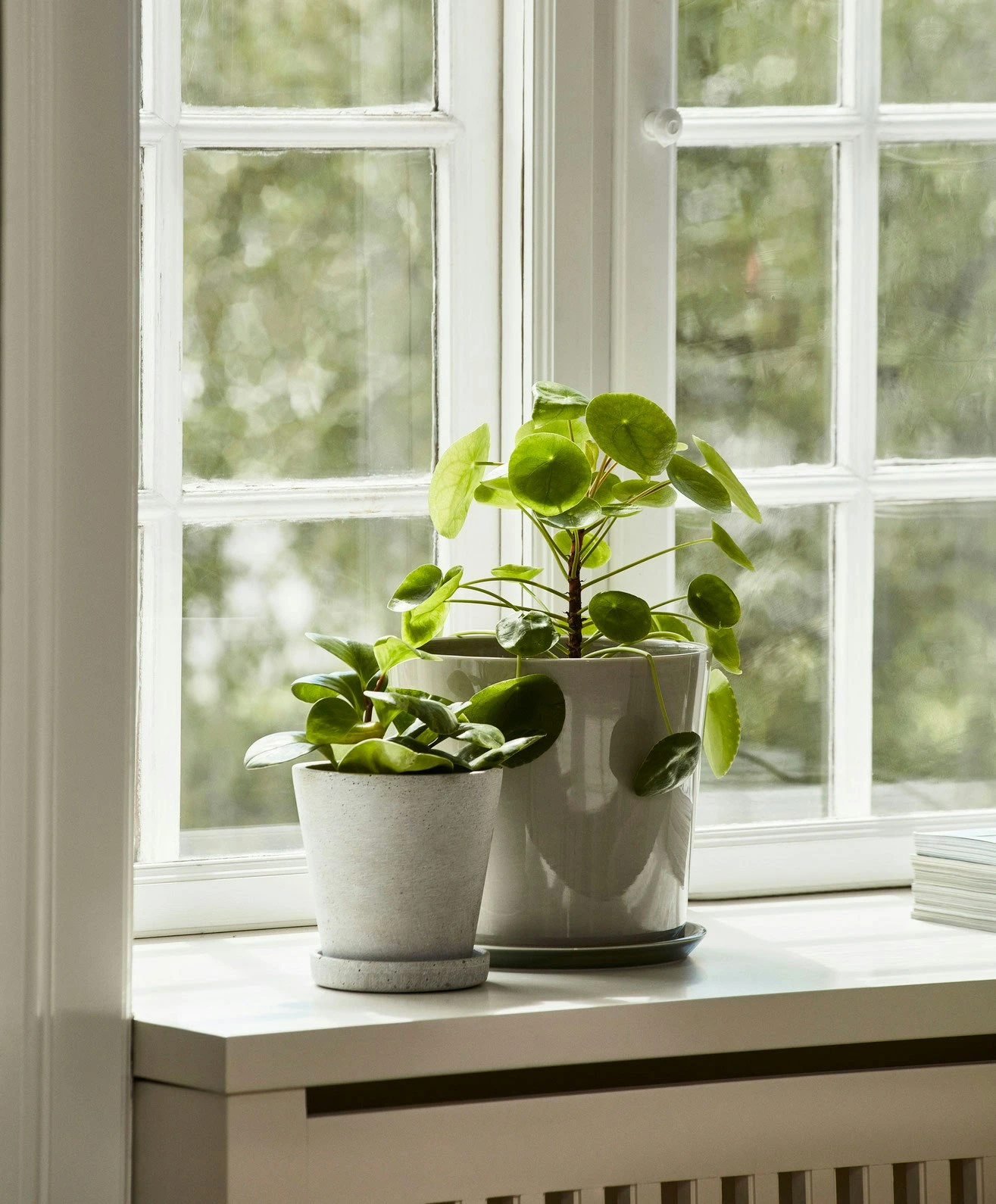 Hay Flowerpot Topf Mit Unterteller Grau, Ø17.5 Cm L 8 Hay Flowerpot Topf Mit Unterteller Grau, Ø17.5 Cm L – Bild 6