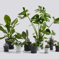 Hay Flowerpot Topf Mit Unterteller Grau, Ø14 Cm M 11 Hay Flowerpot Topf Mit Unterteller Grau, Ø14 Cm M -Bergs Potter Verkaufe hay blumentopf mit untersetzer grau 3 1