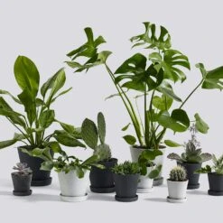 Hay Flowerpot Topf Mit Unterteller Schwarz, Ø11 Cm S 8 Hay Flowerpot Topf Mit Unterteller Schwarz, Ø11 Cm S -Bergs Potter Verkaufe hay blumentopf mit untersetzer schwarz 1 1