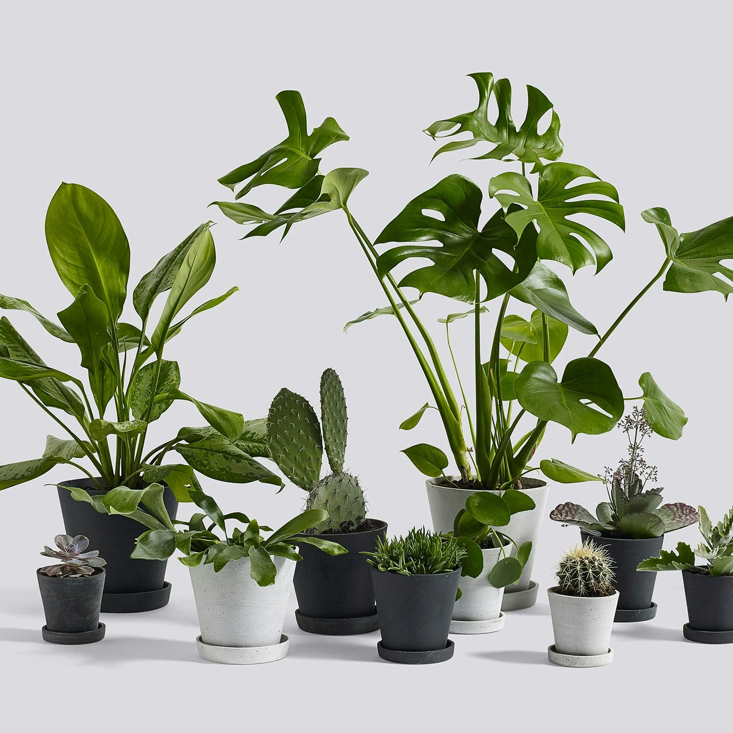 Hay Flowerpot Topf Mit Unterteller Schwarz, Ø26 Cm XXL 4 Hay Flowerpot Topf Mit Unterteller Schwarz, Ø26 Cm XXL – Bild 2