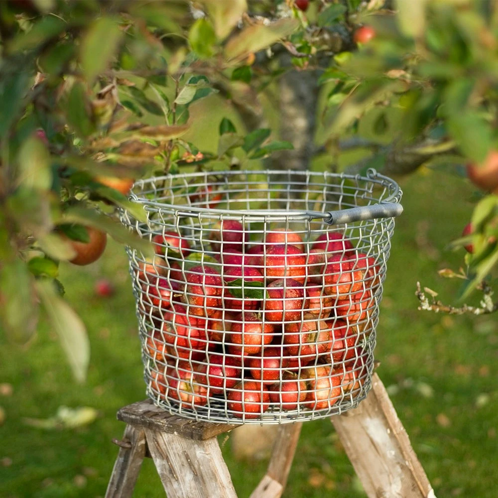 Korbo Eimer 24 Korb, Säurebeständig Rostfrei 4 Korbo Eimer 24 Korb, Säurebeständig Rostfrei – Bild 2