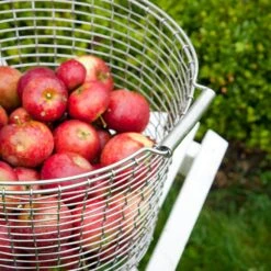 Korbo Eimer 24 Korb, Säurebeständig Rostfrei 10 Korbo Eimer 24 Korb, Säurebeständig Rostfrei -Bergs Potter Verkaufe korbo eimer 16 korb saurebestandig rostfrei 11