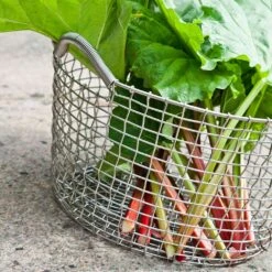 Korbo Classic 35 Korb, Säurefest Edelstahl 9 Korbo Classic 35 Korb, Säurefest Edelstahl -Bergs Potter Verkaufe korbo klassisch 24 korb saurebestandig rostfrei 10