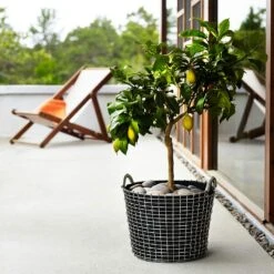 Korbo Classic 24 Korb, Säurefest Edelstahl -Bergs Potter Verkaufe korbo klassisch 24 korb saurebestandig rostfrei 6