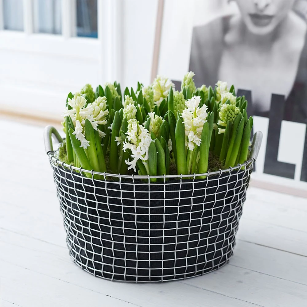 Korbo Pflanzensack 35l, 3 Stk. 4 Korbo Pflanzensack 35l, 3 Stk. – Bild 2