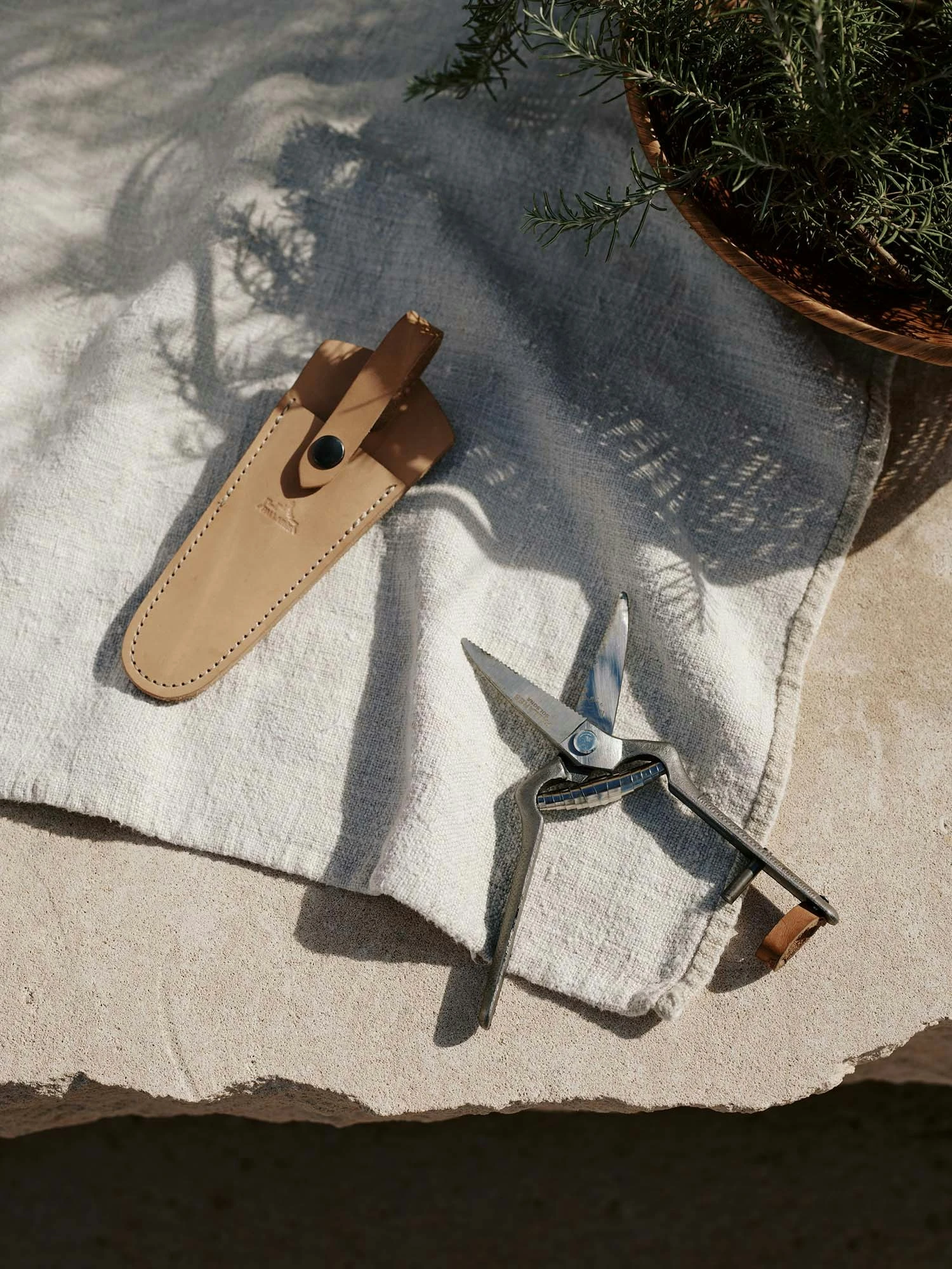 Pallares X Menu Gartenschere 6 Pallares X Menu Gartenschere – Bild 4