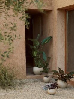 Menu Plantas Übertopf Ivory, 17 Cm -Bergs Potter Verkaufe menu plantas planter h 17 ivory 9