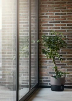 Northern Oasis Selbstbewässerungstopf Schwarz, Large -Bergs Potter Verkaufe northern oasis selbstbewasserungstopf schwarz 2