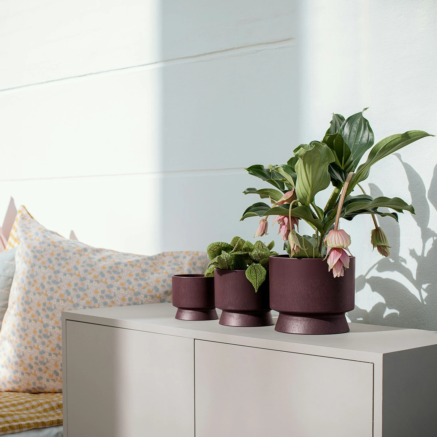 Ro Topf Bordeaux, 19 Cm 4 Ro Topf Bordeaux, 19 Cm – Bild 2