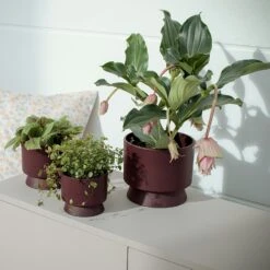 Ro Topf Bordeaux, 15 Cm -Bergs Potter Verkaufe rosendahl copenhagen ro topf bordeaux 2 1