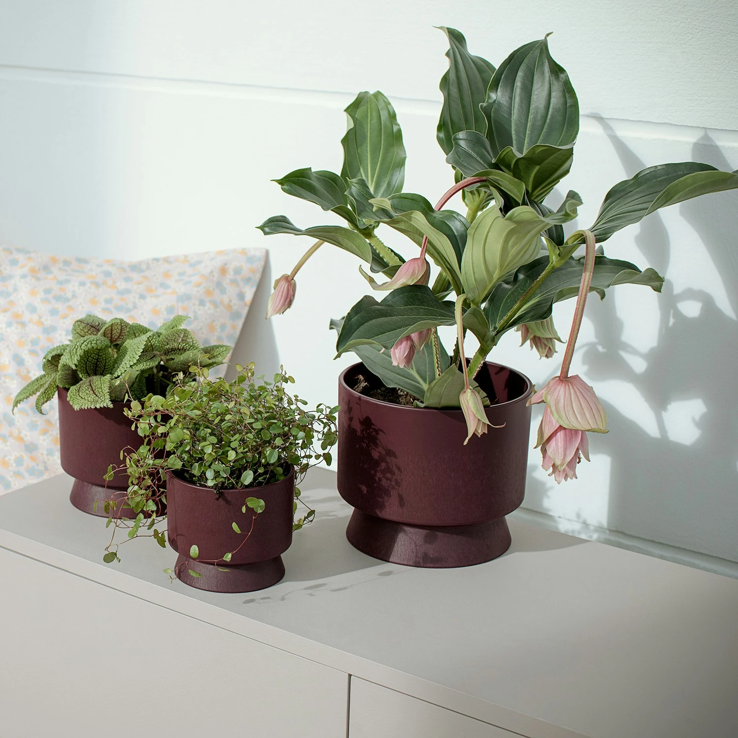 Ro Topf Bordeaux, 19 Cm 5 Ro Topf Bordeaux, 19 Cm – Bild 3