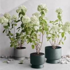 Ro Topf Dunkelgrün, Ø19 Cm 10 Ro Topf Dunkelgrün, Ø19 Cm -Bergs Potter Verkaufe rosendahl copenhagen ro topf dunkelgrun 14 2