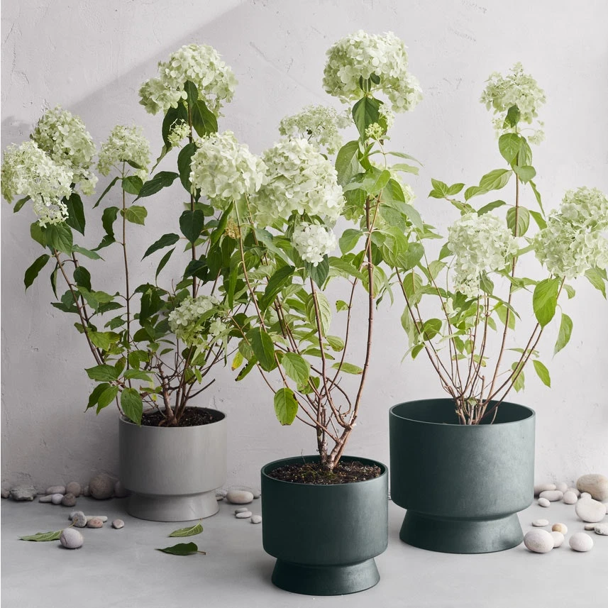 Ro Topf Dunkelgrün, Ø19 Cm 6 Ro Topf Dunkelgrün, Ø19 Cm – Bild 4