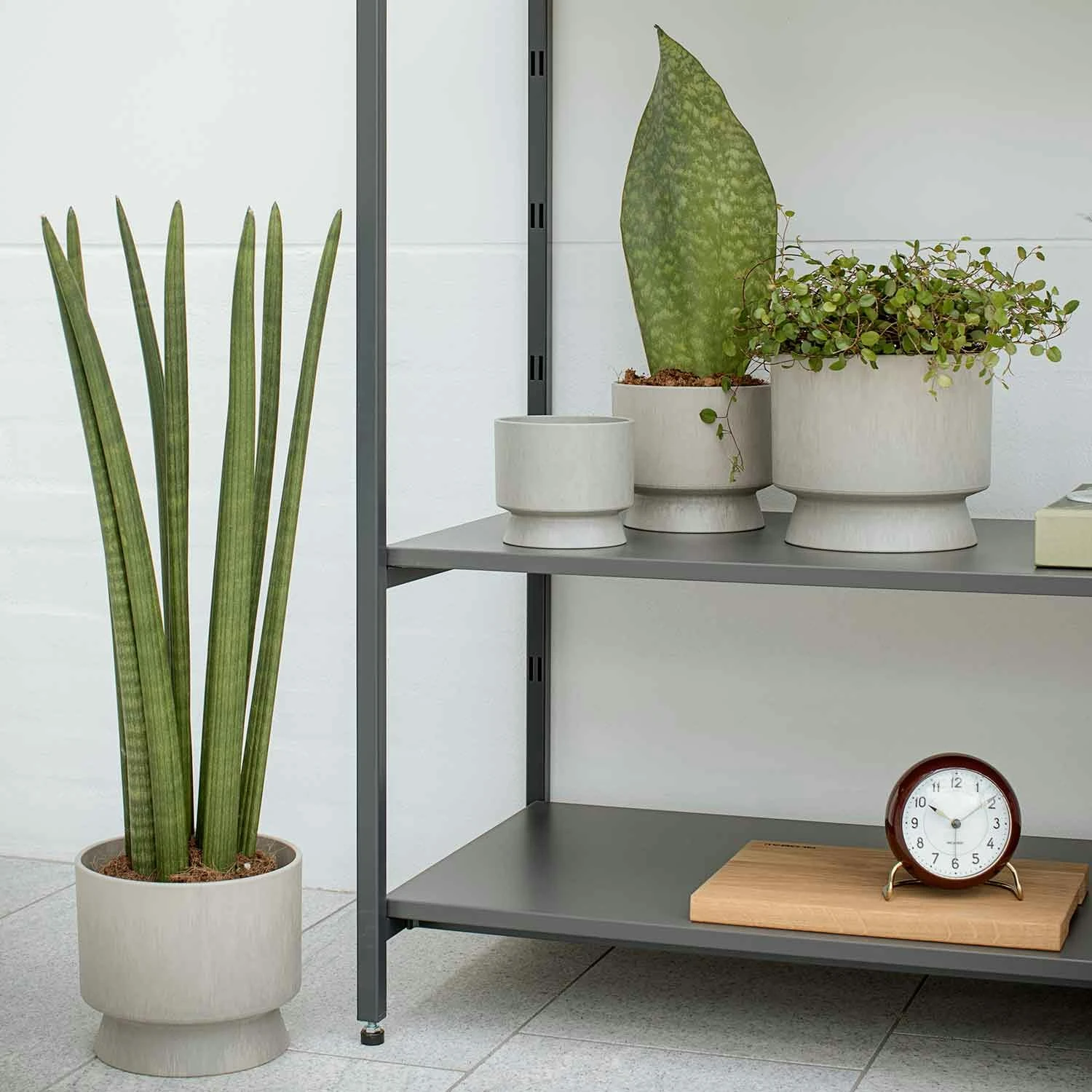 Ro Topf Sand, Ø15 Cm 4 Ro Topf Sand, Ø15 Cm – Bild 2