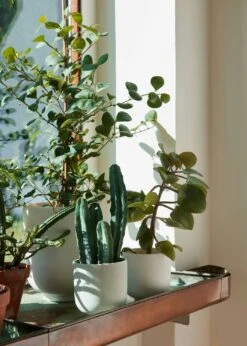 &Tradition Collect SC69 Übertopf SC69 Ø12x13 Cm, Milk -Bergs Potter Verkaufe tradition collect ubertopf sc69 dia12 x h13 cm 18