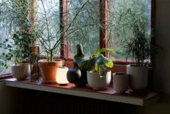 &Tradition Collect SC71 Übertopf Ø24x18 Cm, Sage 10 &Tradition Collect SC71 Übertopf Ø24x18 Cm, Sage -Bergs Potter Verkaufe tradition collect ubertopf sc71 dia24 x h18 cm 2