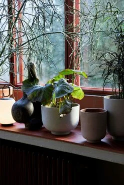 &Tradition Collect SC72 Übertopf Ø20x24 Cm, Sage 12 &Tradition Collect SC72 Übertopf Ø20x24 Cm, Sage -Bergs Potter Verkaufe tradition collect ubertopf sc72 dia20 x h24 cm 2