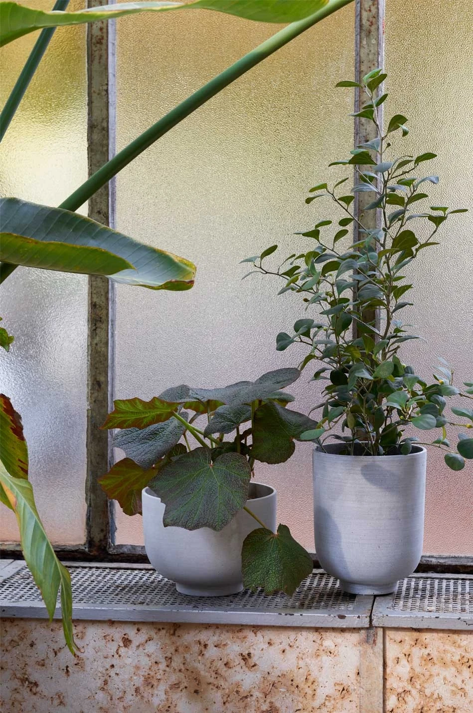 &Tradition Collect SC72 Übertopf Ø20x24 Cm, Sage 8 &Tradition Collect SC72 Übertopf Ø20x24 Cm, Sage – Bild 6