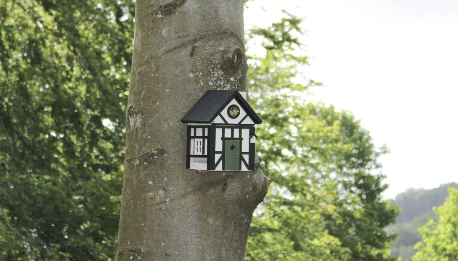 Multiholk Half Timber 4 Multiholk Half Timber – Bild 2