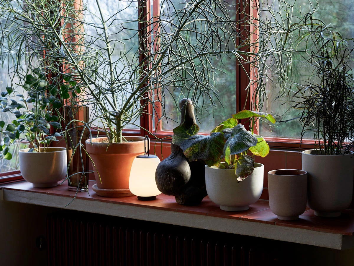 Bergs Potter Verkaufe -Bergs Potter Verkaufe andTradition SC69 Collect Planter Lifestyle 2