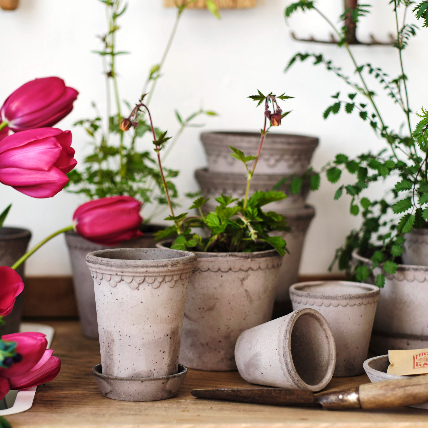 Bergs Potter Verkaufe -Bergs Potter Verkaufe bergspotter 2